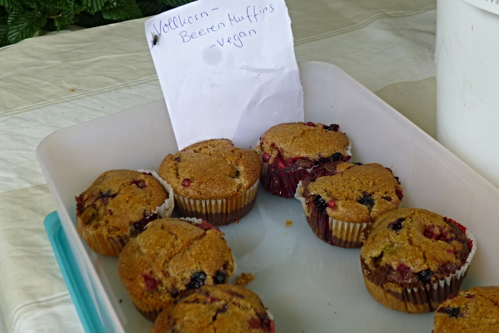 SoLaWi Dahlum » Vegane Vollkorn Beeren Muffins