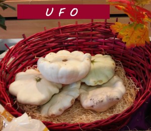 Foto von zwei UFO-Kürbissen