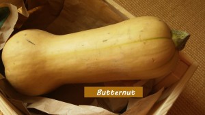 Foto vom Butternut-Kürbis