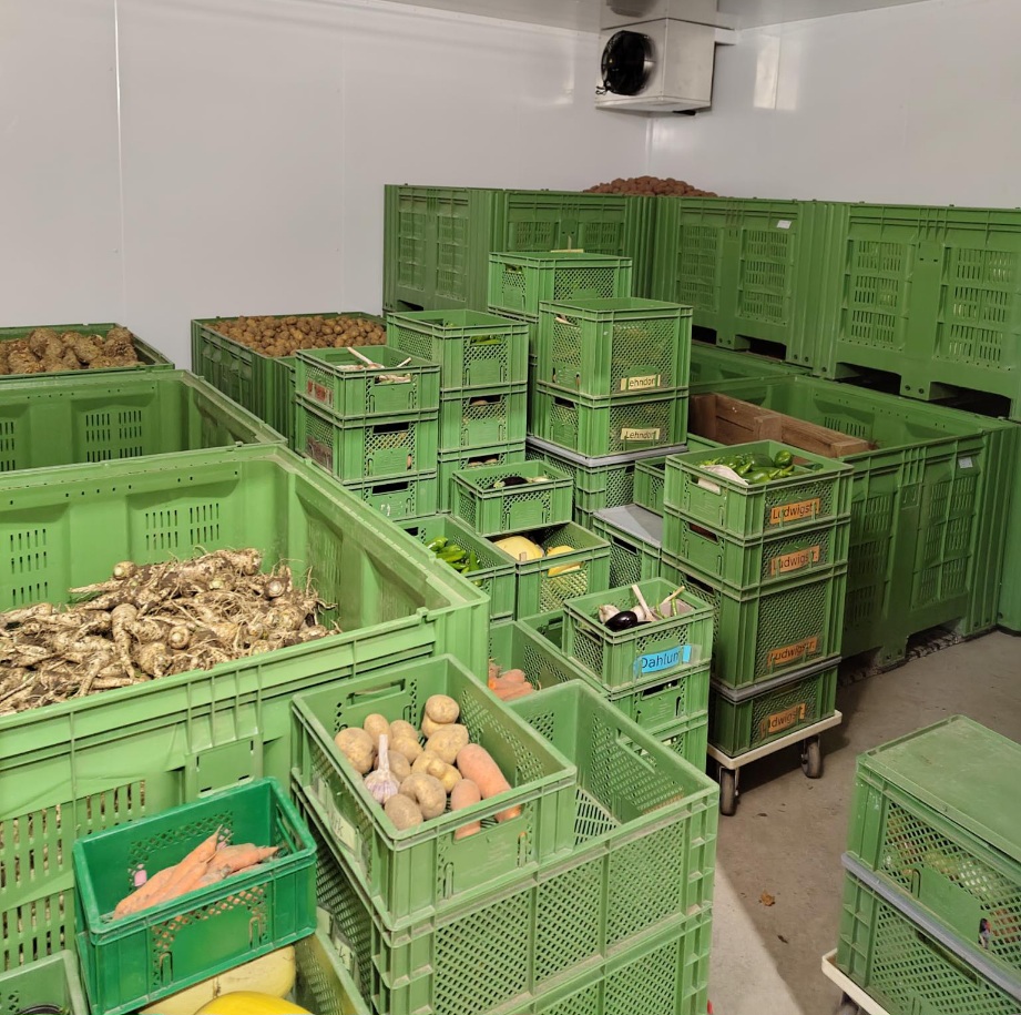 Kühlzelle mit grünen Kisten voller Lagergemüse